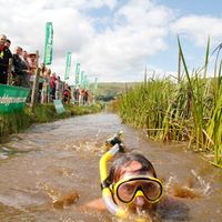 World Bog Snorkelling